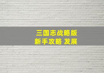 三国志战略版新手攻略 发展